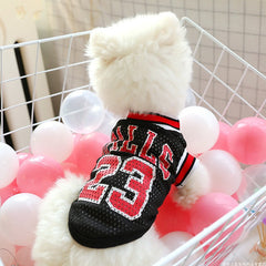 Breathable Summer Vest for Teddy Dogs