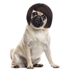 Funny Pet Cosplay Wig | Adjustable Dog & Cat Costume Headwear