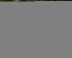 Thickened Double-Layer Pet Raincoat with Carry Bag