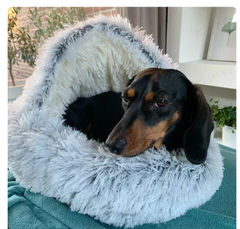 2-in 1 Pet Bed