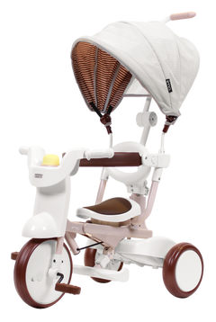 iimo 3-in-1 Foldable Tricycle with Canopy