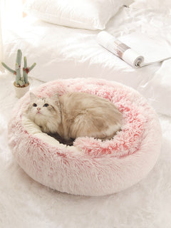 2-in 1 Pet Bed