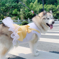 Princess Dog Costume for Big Dogs (Labrador, Golden Retriever)