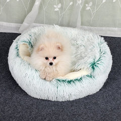 2-in 1 Pet Bed