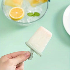 DIY Popsicle Mold Box with Handle and 8 Grids