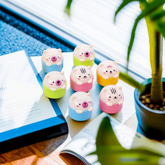 Cartoon Mini Bear Double Hole Pencil Sharpener