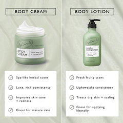 Hand + Body Lotion with Bergamot Water