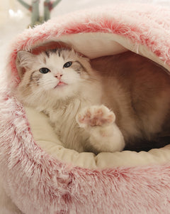 2-in 1 Pet Bed