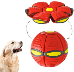 Magic UFO Flying Disc Ball Dog Toy with LED Lights