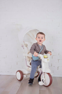 iimo 3-in-1 Foldable Tricycle with Canopy