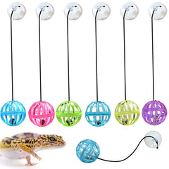 Bearded Dragon Bell Ball Toys – 6-Pack with Suction Cups & Ropes for Lizards, Geckos & Small Reptiles