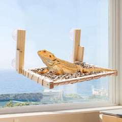 Wooden Reptile Window Perch with Seagrass Mat – 12×11" Suction Cup Basking Platform for Bearded Dragons, Lizards & Small Pets